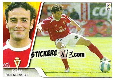 Sticker Peña - Liga 2007-2008 - Ediciones Estadio