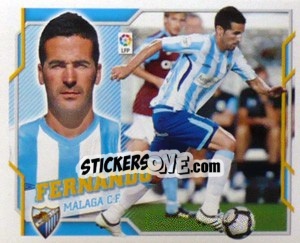 Cromo Fernando (11A) - Liga Spagnola 2010-2011 - Colecciones ESTE