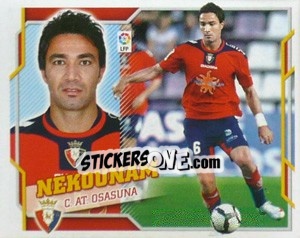 Cromo Nekounam (8A) - Liga Spagnola 2010-2011 - Colecciones ESTE