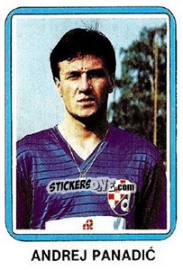 Sticker Andrej Panadic - Fudbal 1990-1991 n. 261 - Decje Novine