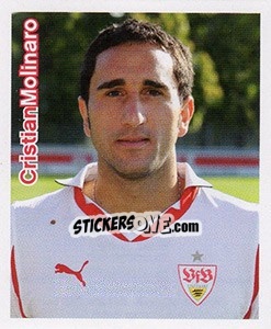 Cromo Cristian Molinaro - Vfb Stuttgart 2010-2011 - Panini