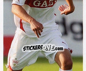 Cromo Matthieu Delpierre (Puzzle) - Vfb Stuttgart 2010-2011 - Panini