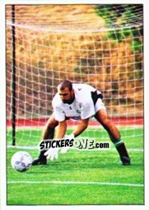 Sticker Jêrome Alonzo - Association Sportive de Saint-Étienne 2000-2001 n. 101 - Panini
