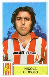 Figurina Nicola Ciccolo - Calciatori 1971-1972 - Panini