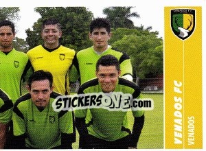 Cromo Equipo (puzzle 2) - Liga BBVA Bancomer Apertura 2015 n. 372 - Panini