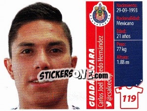 Sticker Carlos Joel Salcedo Hernández - Liga BBVA Bancomer Apertura 2015 n. 119 - Panini