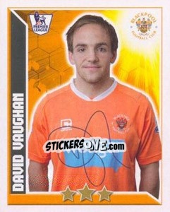 Sticker David Vaughan - Premier League Inglese 2010-2011 - Topps