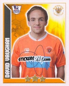 Sticker David Vaughan - Premier League Inglese 2010-2011 n. 110 - Topps