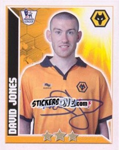 Figurina David Jones - Premier League Inglese 2010-2011 - Topps