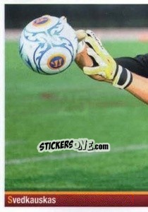 Cromo Tomas Svedkauskas (puzzle 1) - AS Roma 2012-2013 n. 25 - Erredi Galata Edizioni
