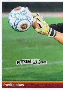 Sticker Tomas Svedkauskas (puzzle 1) - AS Roma 2012-2013 - Erredi Galata Edizioni