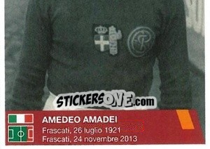 Cromo Amedeo Amadei (puzzle 2) - AS Roma 2014-2015 - Erredi Galata Edizioni