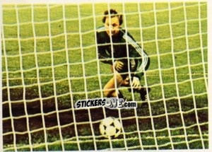 Sticker Netolicka - Fussball 1980-1981 n. 15 - Bergmann