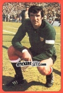 Figurina Iribar - Campeonato Nacional 1977-1978 - Ruiz Romero