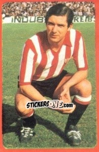 Sticker Villar - Campeonato Nacional 1977-1978 - Ruiz Romero