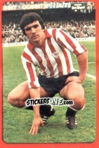 Sticker Dani - Campeonato Nacional 1977-1978 - Ruiz Romero