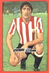 Sticker Madariaga - Campeonato Nacional 1977-1978 - Ruiz Romero