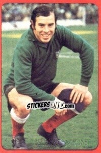 Sticker Reina - Campeonato Nacional 1977-1978 n. 15 - Ruiz Romero