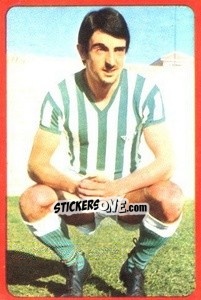 Sticker Cobo - Campeonato Nacional 1977-1978 n. 45 - Ruiz Romero