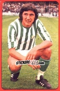 Cromo Ladynsky - Campeonato Nacional 1977-1978 - Ruiz Romero