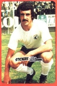 Figurina Palmer - Campeonato Nacional 1977-1978 - Ruiz Romero