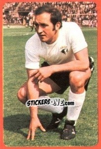 Cromo Navarro I - Campeonato Nacional 1977-1978 n. 66 - Ruiz Romero
