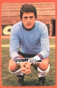 Cromo Navarro II - Campeonato Nacional 1977-1978 n. 68 - Ruiz Romero