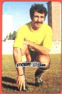 Sticker Cenitagoya - Campeonato Nacional 1977-1978 - Ruiz Romero