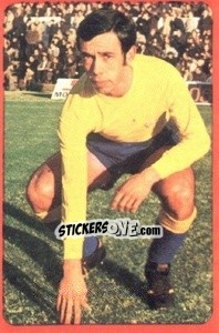 Figurina Rosado - Campeonato Nacional 1977-1978 - Ruiz Romero