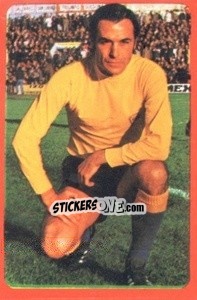 Sticker Quino - Campeonato Nacional 1977-1978 - Ruiz Romero