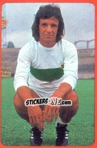 Cromo Finarolli - Campeonato Nacional 1977-1978 - Ruiz Romero