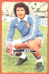 Cromo Gato Fernandez - Campeonato Nacional 1977-1978 - Ruiz Romero