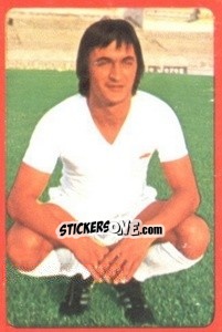 Figurina Ricardo - Campeonato Nacional 1977-1978 - Ruiz Romero