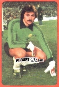 Sticker Miguel Angel - Campeonato Nacional 1977-1978 - Ruiz Romero