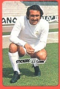 Figurina Pirri - Campeonato Nacional 1977-1978 n. 201 - Ruiz Romero