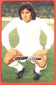 Sticker Santillana - Campeonato Nacional 1977-1978 - Ruiz Romero