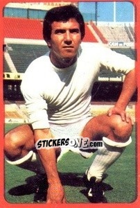 Sticker Juanito - Campeonato Nacional 1977-1978 - Ruiz Romero