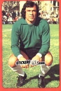Sticker Dujkovic - Campeonato Nacional 1977-1978 - Ruiz Romero