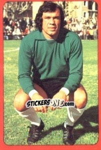 Cromo Dujkovic - Campeonato Nacional 1977-1978 - Ruiz Romero