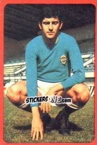Sticker Vicente - Campeonato Nacional 1977-1978 n. 216 - Ruiz Romero