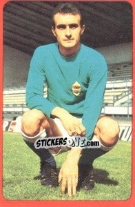 Sticker Iriarte - Campeonato Nacional 1977-1978 n. 218 - Ruiz Romero