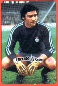 Sticker Damas - Campeonato Nacional 1977-1978 n. 225 - Ruiz Romero