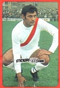 Cromo Francisco - Campeonato Nacional 1977-1978 - Ruiz Romero