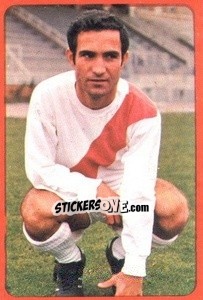 Sticker Potele - Campeonato Nacional 1977-1978 n. 252 - Ruiz Romero