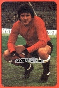 Sticker D'Alesandro - Campeonato Nacional 1977-1978 n. 267 - Ruiz Romero
