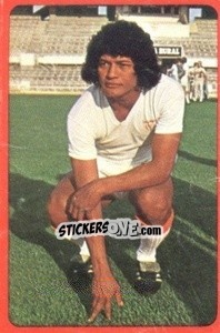 Figurina Dos Santos - Campeonato Nacional 1977-1978 - Ruiz Romero