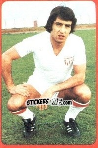 Cromo Rubio - Campeonato Nacional 1977-1978 - Ruiz Romero