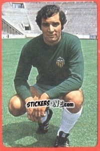 Sticker Balaguer - Campeonato Nacional 1977-1978 n. 309 - Ruiz Romero