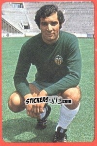 Sticker Balaguer - Campeonato Nacional 1977-1978 - Ruiz Romero