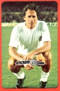 Cromo Adorno - Campeonato Nacional 1977-1978 n. 318 - Ruiz Romero